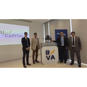 Economia Virtual